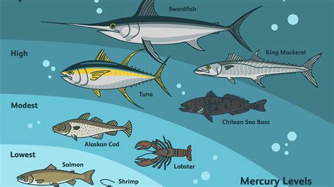 is mackerel high in mercury.